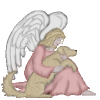 Angel wearing a pink gown holding Tammy Golden Retriever in her arms