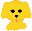 golden wearing sunglasses